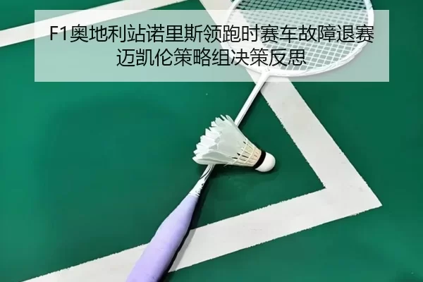ao-di-li-zhan-nuo-li-si-ling-pao-shi-sai-che-gu-zhang-tui-sai-mai-kai-lun-ce-lve-zu-jue-ce-fan-si-3-951.jpg